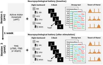 Impact of Prefrontal Theta Burst Stimulation on Clinical Neuropsychological Tasks